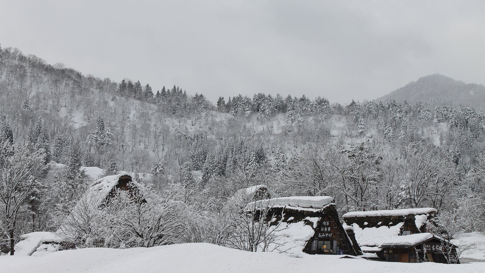 Sous la neige, la porcelaine - un voyage au Japon et en Corée