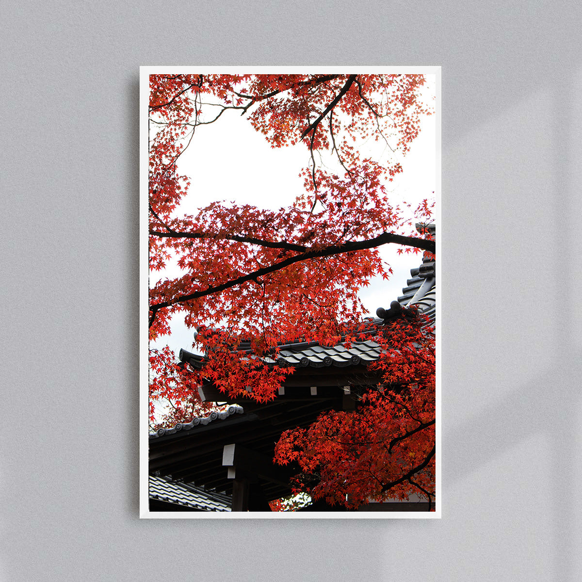 Kōyō à Shinnyo-dō, Kyoto : SIGNED, NUMBERED AND FRAMED FINE ART PHOTOGRAPHY