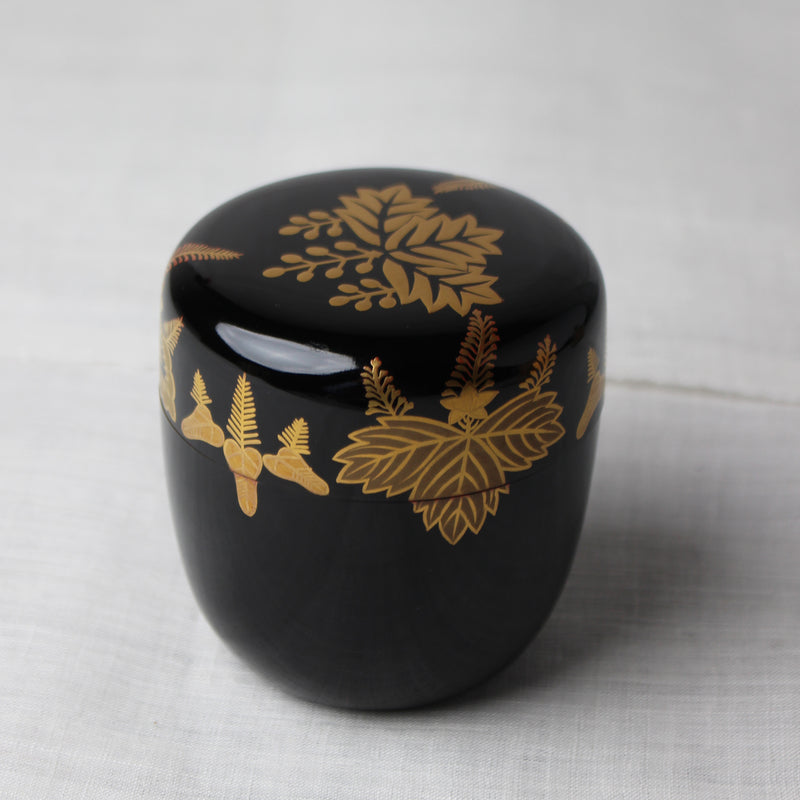Japanese urushi lacquer and maki-e natsume (tea caddie), Kiri (paulownia) decor
