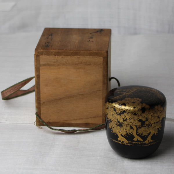 Natsume (boîte à thé) laque urushi japonaise et décor maki-e poudre d'or, motif Matsu (pin) et yama (montagne)