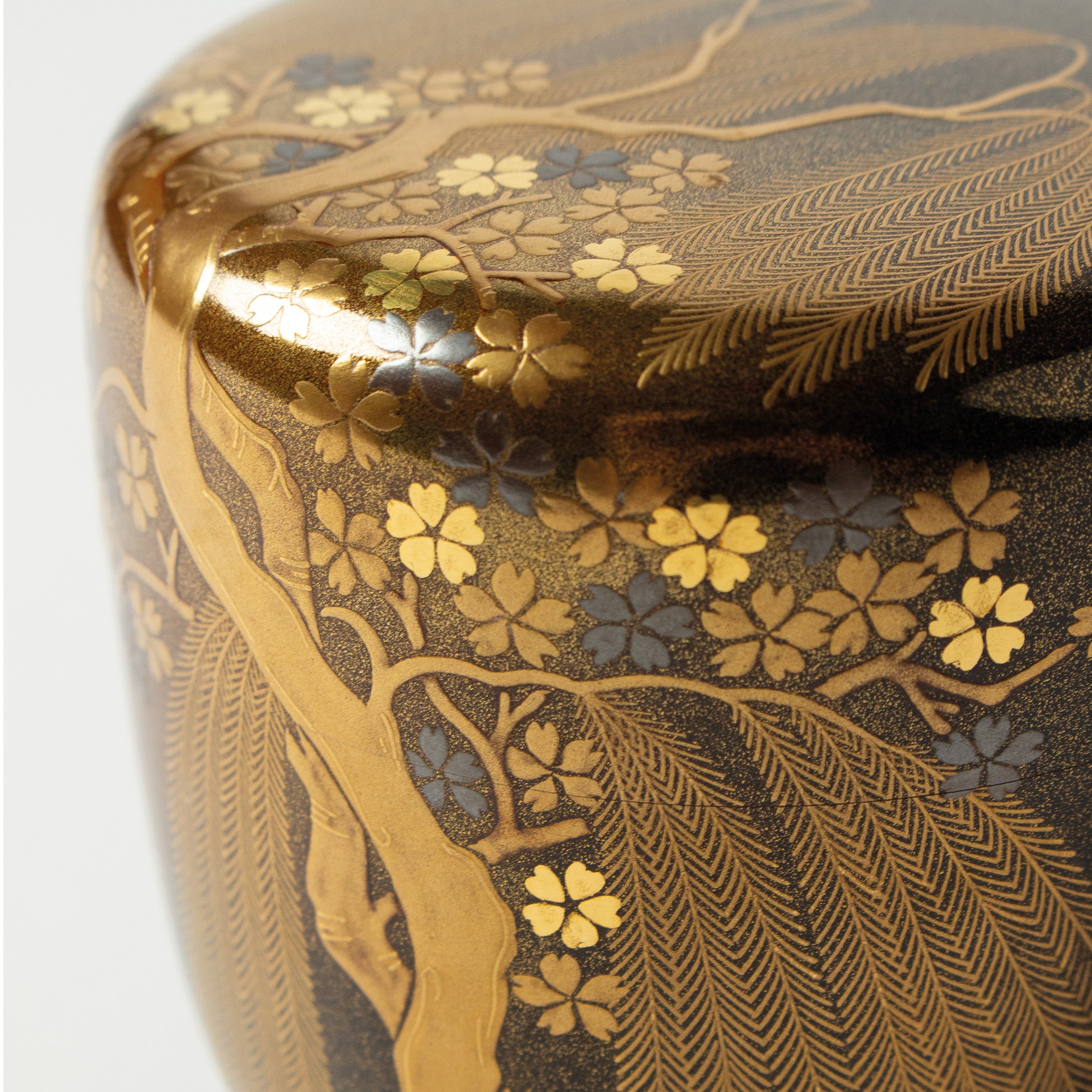 Natsume (boîte à thé) laque urushi japonaise et décor maki-e poudre d'or, motif sakura (fleurs de cerisier) et yanagi (saule)